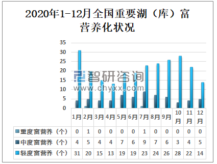 地表水质量总体概况
